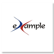 Example Consulting G..