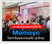 Momoyo แฟรนไชส์ไอศกรีมและชาอินโด มาไทยแน่! 
