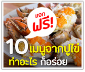 แจกฟรี! 10 เมนูจากปูไข่ ทำอะไรอร่อยๆ ได้เยอะ