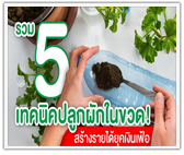 รวม 5 เทคนิคปลูกผักในขวด! สร้างรายได้ยุคเงินเฟ้อ