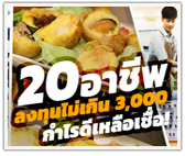 เปิด 20 อาชีพลงทุนไม่เกิน 3,000 แต่กำไรดีเหลือเชื่อ!