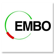 EMBO