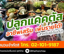 ปลูกแคคตัส อาชีพเสริมเพิ่มรายได้! (สำหรับผู้เริ่มต้น) รุ่นที่ 10