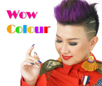 หลักสูตร Wow Colour