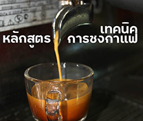 หลักสูตร เทคนิคการชงกาแฟ (Basic Barista Training)